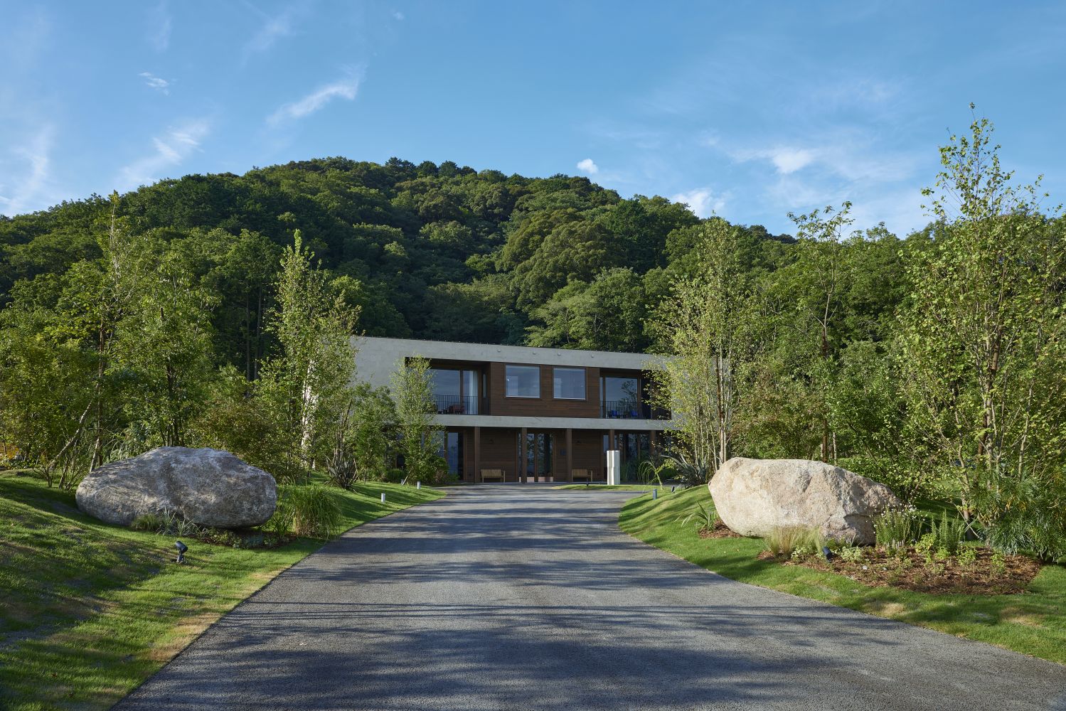 ノーイメージタグ